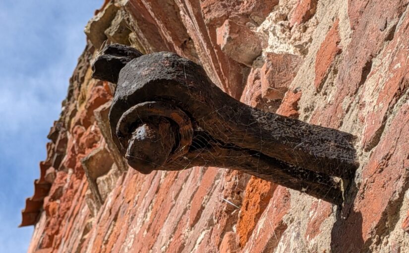 Klosterfest St. Johannis 2026 – Stralsunds Vereine verwandeln historisches Kloster in lebendigen Begegnungsort